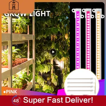 Led лампа за растежа на растенията, вградена лампа за осветление на растенията, група оранжерии за отглеждане на сочни растения, лампа за растежа на растенията