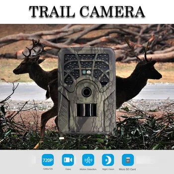 Ловна пътека-камера Wildcamera за наблюдение на дивата природа, нощен версия, камера за изследване на дивата природа, фотоловушки, песен