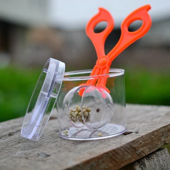 Пластмасова играчка за изследване на природата за децата, инструмент за изследване на растения и насекоми - пластмасова скоба-ножици и пинсети